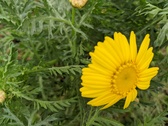 Enlarge photo 35