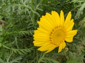 Enlarge photo 36