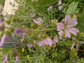 Enlarge photo 44