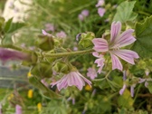 Enlarge photo 42