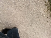 Enlarge photo 47