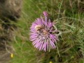 Enlarge photo 56