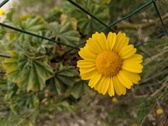 Enlarge photo 54