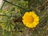 Enlarge photo 61