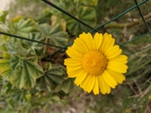 Enlarge photo 59