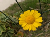 Enlarge photo 58
