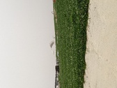 Enlarge photo 69
