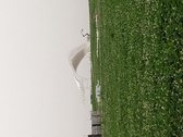 Enlarge photo 68