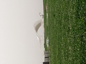 Enlarge photo 67