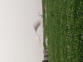 Enlarge photo 72