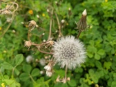 Enlarge photo 77
