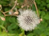 Enlarge photo 78
