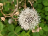 Enlarge photo 82