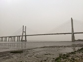 Enlarge photo 87