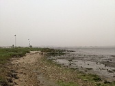 Enlarge photo 93