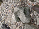 Enlarge photo 106