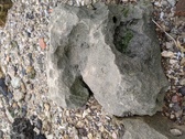 Enlarge photo 113