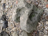 Enlarge photo 112