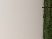 Enlarge photo 120