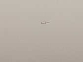 Enlarge photo 119