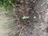 Enlarge photo 118