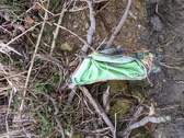 Enlarge photo 125