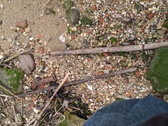 Enlarge photo 123