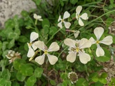 Enlarge photo 128