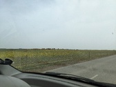 Enlarge photo 130