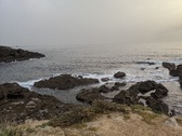 Enlarge photo 136