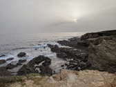 Enlarge photo 135