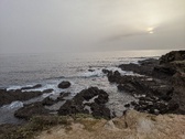 Enlarge photo 134