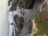 Enlarge photo 140