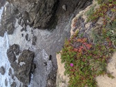 Enlarge photo 139