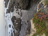 Enlarge photo 138