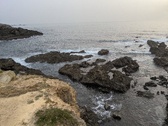 Enlarge photo 142