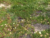 Enlarge photo 149
