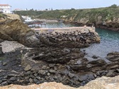 Enlarge photo 147