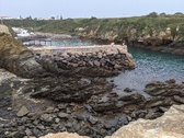 Enlarge photo 146