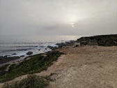 Enlarge photo 153