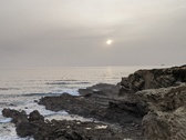 Enlarge photo 156