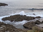 Enlarge photo 154