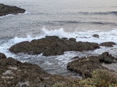 Enlarge photo 161