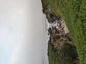 Enlarge photo 160