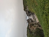Enlarge photo 159