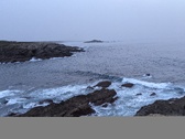 Enlarge photo 185