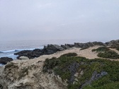 Enlarge photo 164
