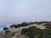 Enlarge photo 165