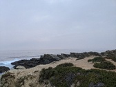 Enlarge photo 169