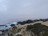 Enlarge photo 168